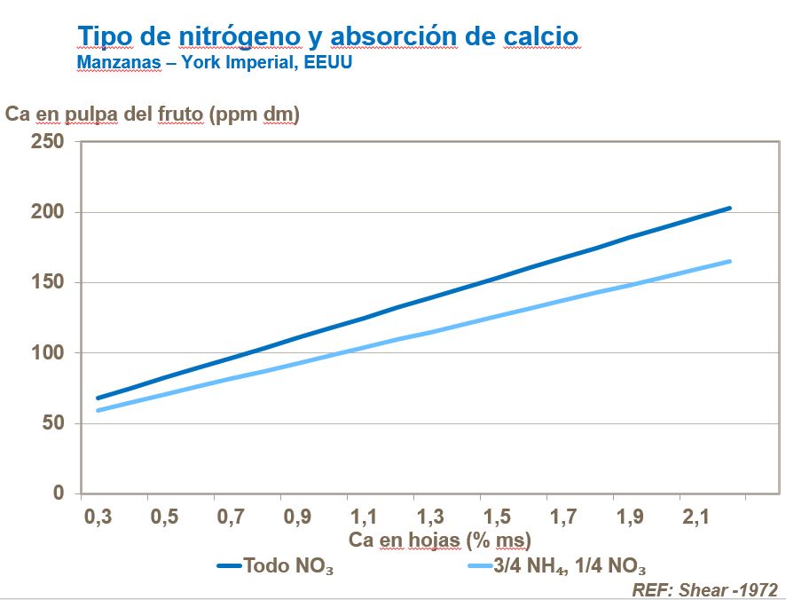 Tipo de nitrógeno - rendimiento y pH del suelo