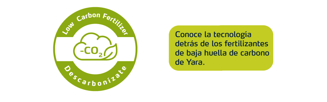 Conoce sobre los fertilizantes Yara de baja huella de carbono