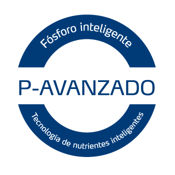tecnolog&iacute;a de PAVANZADO de Yara