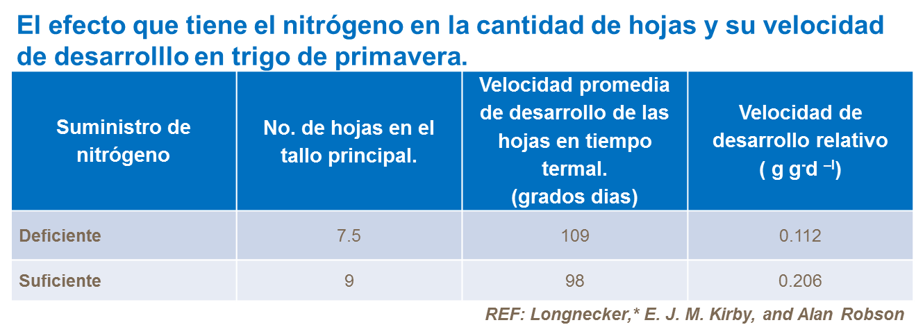 Efecto del nitrógeno en el número de hojas y su velocidad de desarrollo