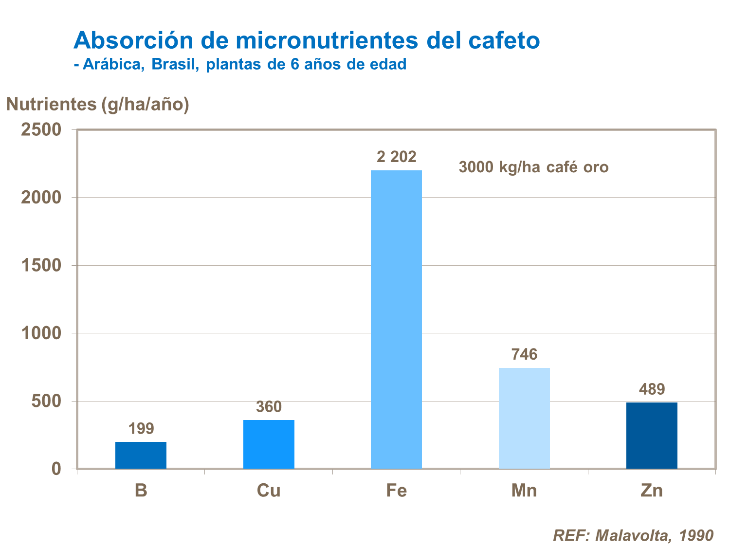 Absorción de micronutrientes del cafeto