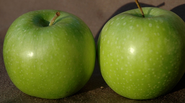 abonos, yara, abono, manzana